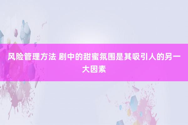 风险管理方法 剧中的甜蜜氛围是其吸引人的另一大因素