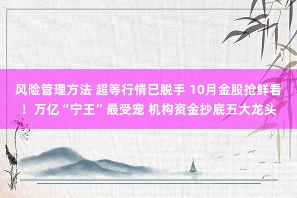 风险管理方法 超等行情已脱手 10月金股抢鲜看！万亿“宁王”最受宠 机构资金抄底五大龙头