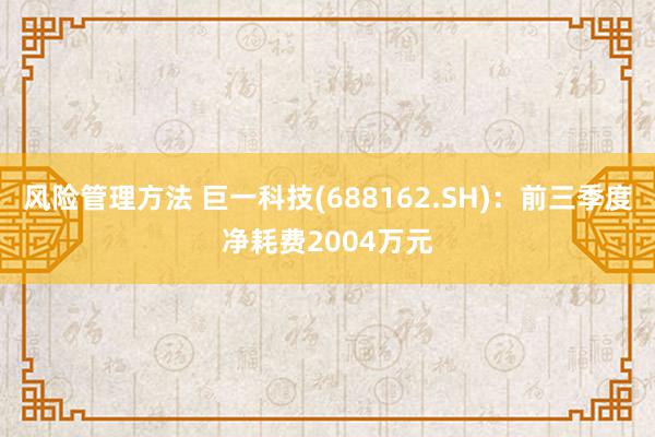 风险管理方法 巨一科技(688162.SH)：前三季度净耗费2004万元