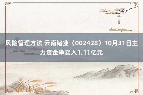 风险管理方法 云南锗业（002428）10月31日主力资金净买入1.11亿元