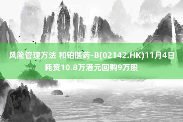 风险管理方法 和铂医药-B(02142.HK)11月4日耗资10.8万港元回购9万股