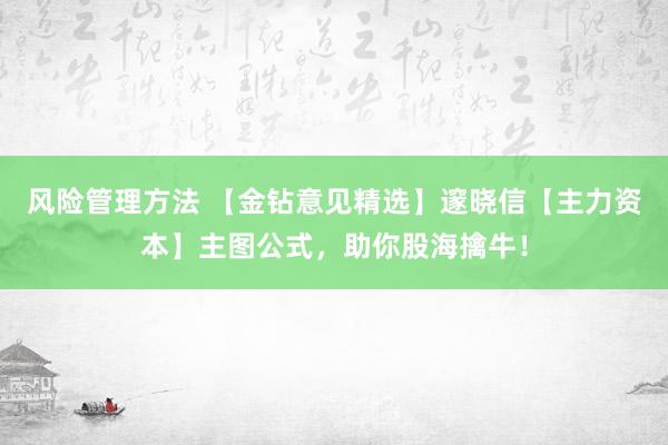 风险管理方法 【金钻意见精选】邃晓信【主力资本】主图公式，助你股海擒牛！