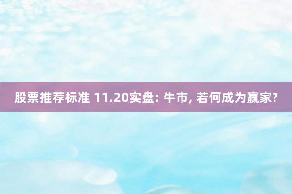 股票推荐标准 11.20实盘: 牛市, 若何成为赢家?