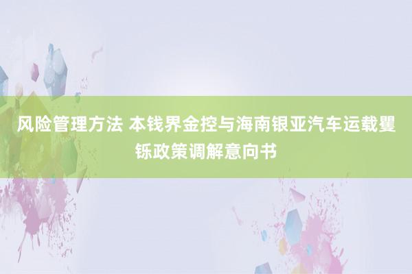 风险管理方法 本钱界金控与海南银亚汽车运载矍铄政策调解意向书