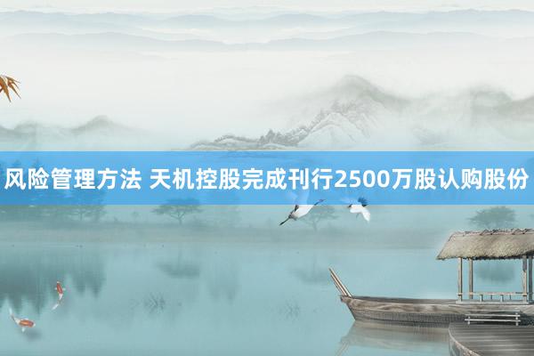 风险管理方法 天机控股完成刊行2500万股认购股份