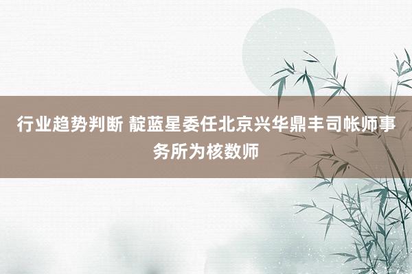 行业趋势判断 靛蓝星委任北京兴华鼎丰司帐师事务所为核数师