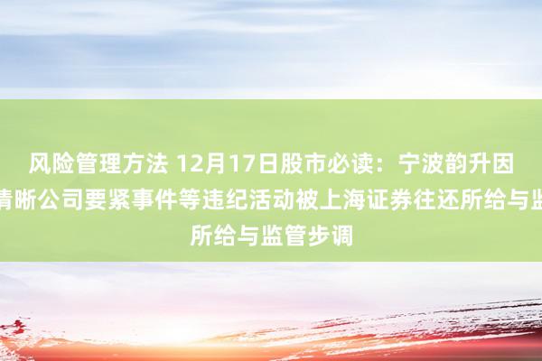 风险管理方法 12月17日股市必读：宁波韵升因未实时清晰公司要紧事件等违纪活动被上海证券往还所给与监管步调