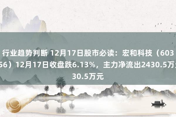 行业趋势判断 12月17日股市必读：宏和科技（603256）12月17日收盘跌6.13%，主力净流出2430.5万元