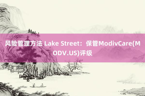 风险管理方法 Lake Street：保管ModivCare(MODV.US)评级