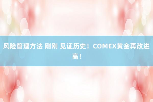 风险管理方法 刚刚 见证历史！COMEX黄金再改进高！