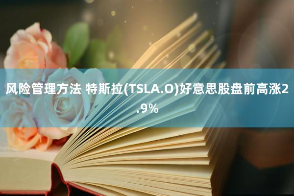 风险管理方法 特斯拉(TSLA.O)好意思股盘前高涨2.9%