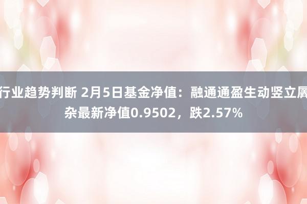 行业趋势判断 2月5日基金净值：融通通盈生动竖立羼杂最新净值0.9502，跌2.57%