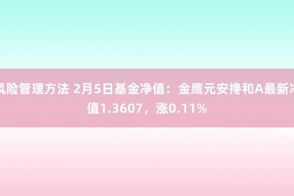 风险管理方法 2月5日基金净值：金鹰元安搀和A最新净值1.3607，涨0.11%