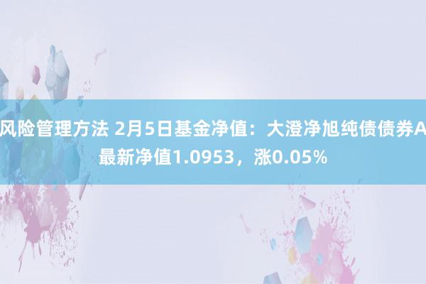 风险管理方法 2月5日基金净值：大澄净旭纯债债券A最新净值1.0953，涨0.05%