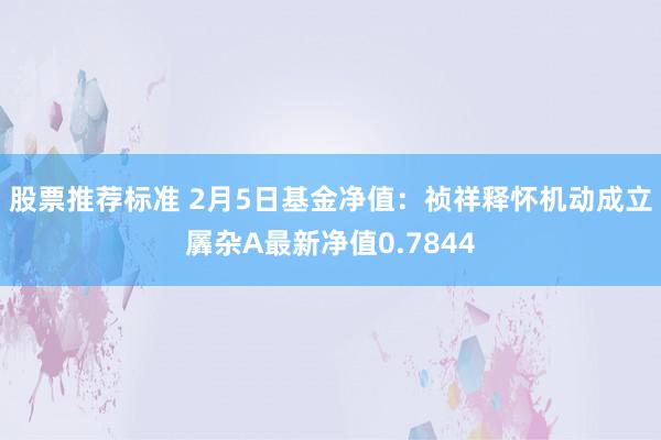 股票推荐标准 2月5日基金净值：祯祥释怀机动成立羼杂A最新净值0.7844