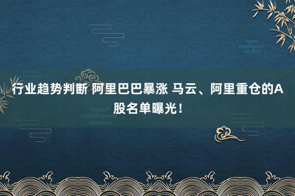 行业趋势判断 阿里巴巴暴涨 马云、阿里重仓的A股名单曝光！